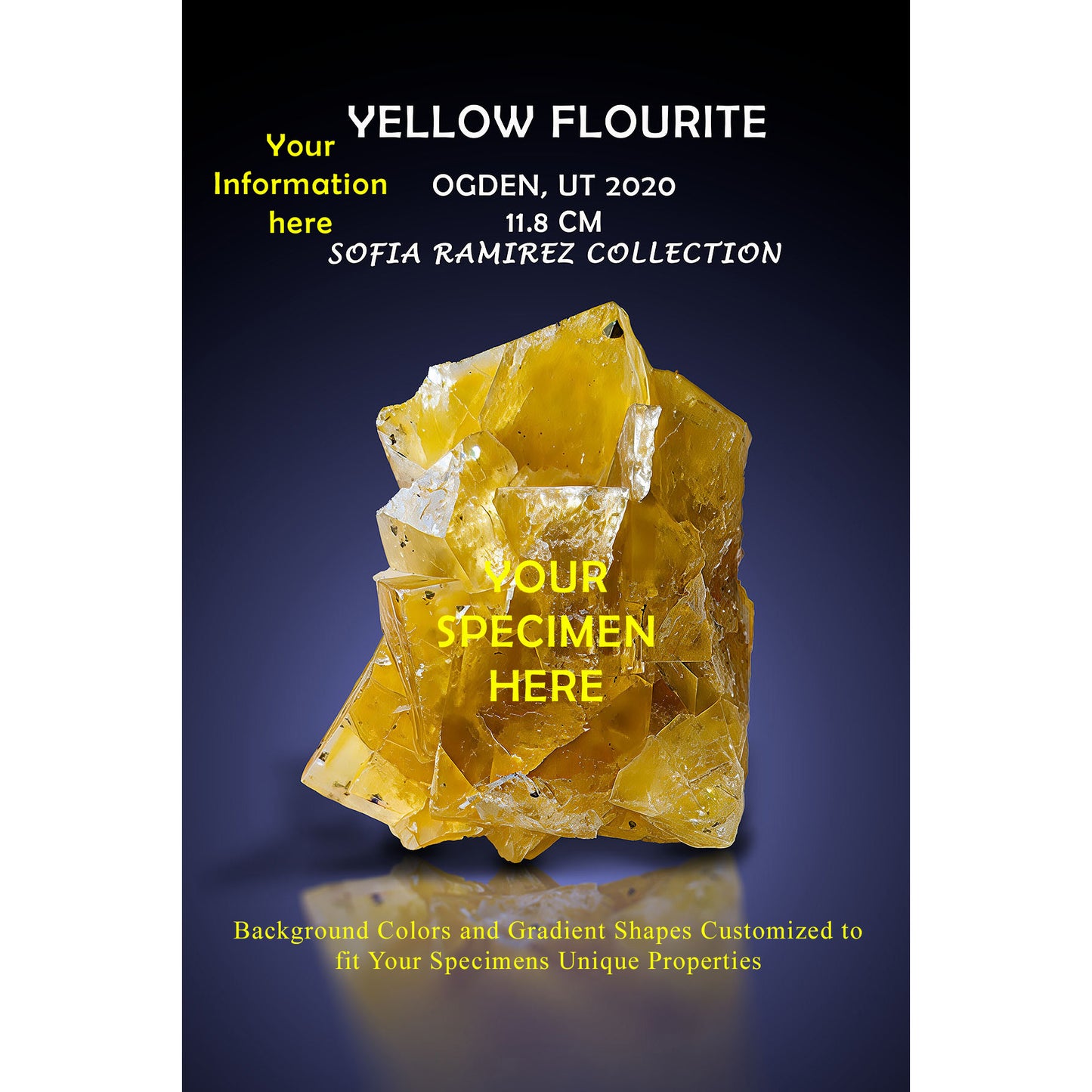 12" X 18" Single Specimen Print