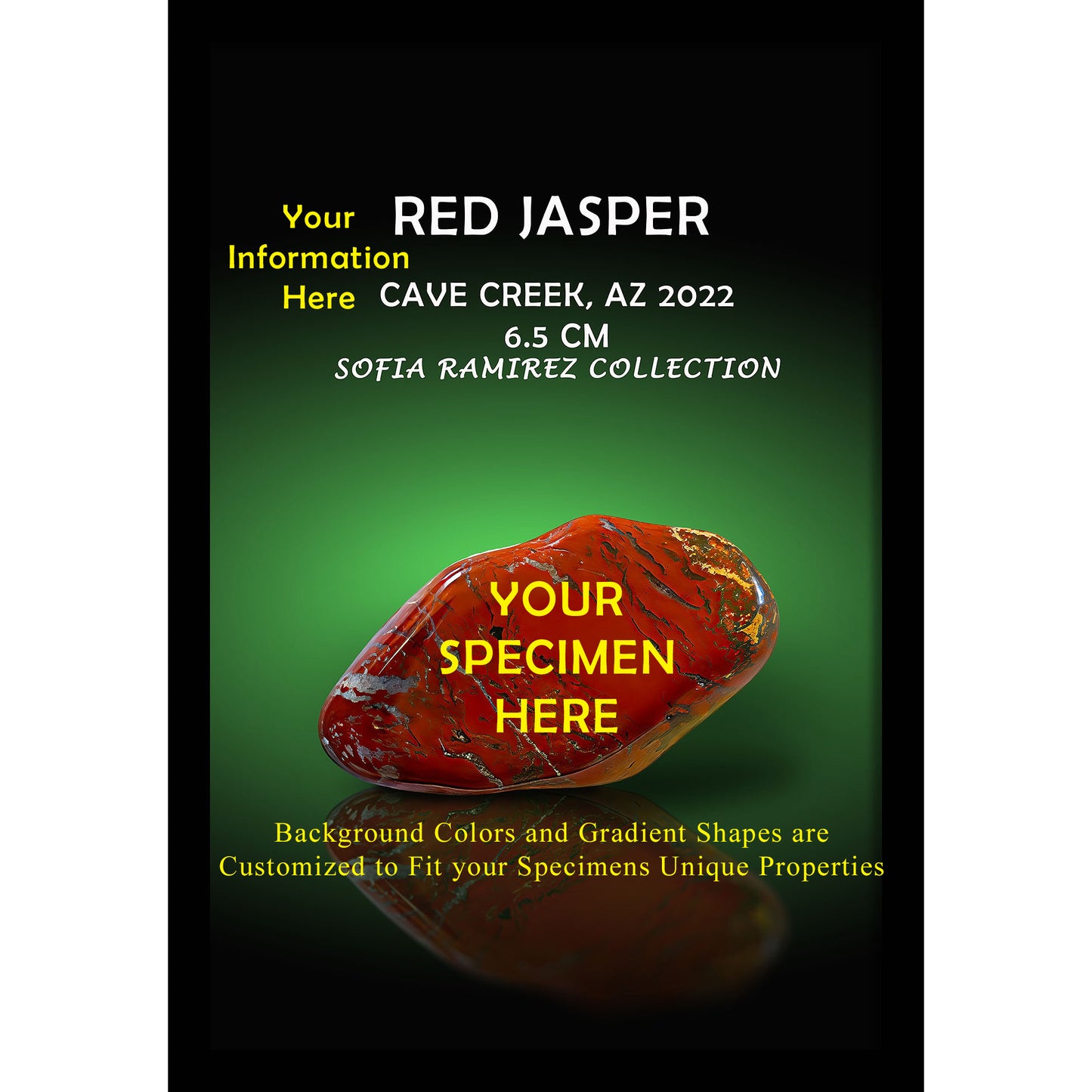 12" X 18" Single Specimen Framed Picture