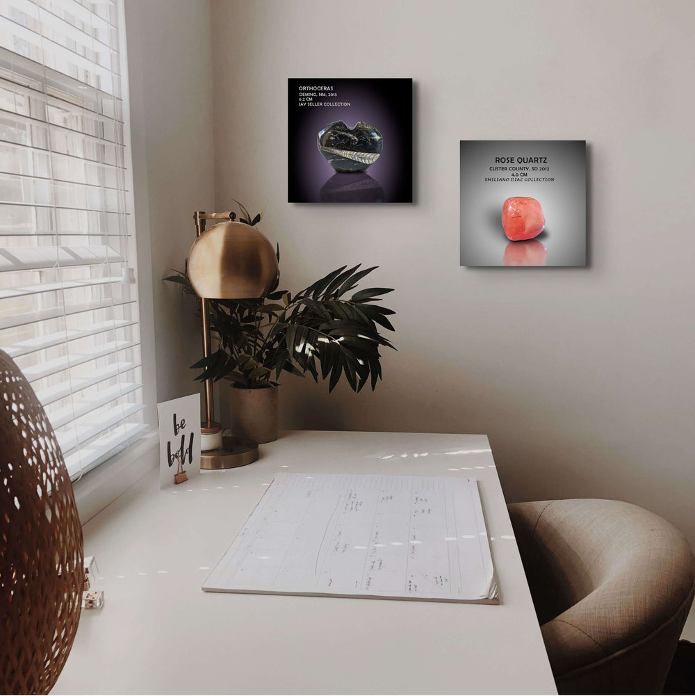10x10 Canvas Display