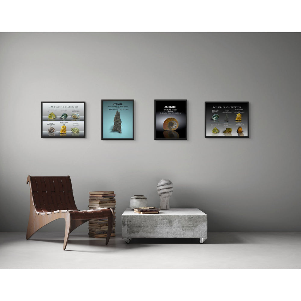 4 Collage Montage Display